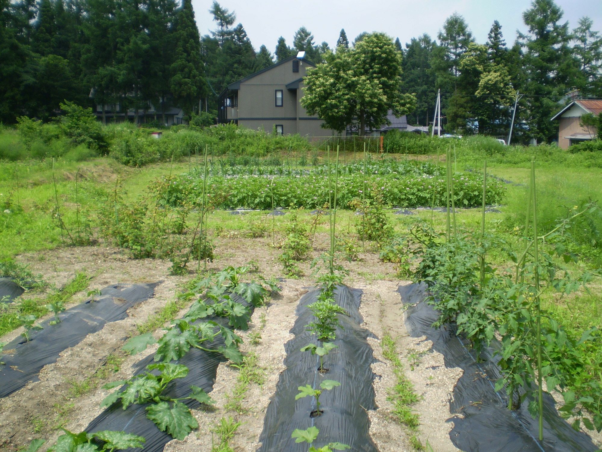 ペンション ちゃうちゃう Bed and Breakfast Hakuba Buitenkant foto