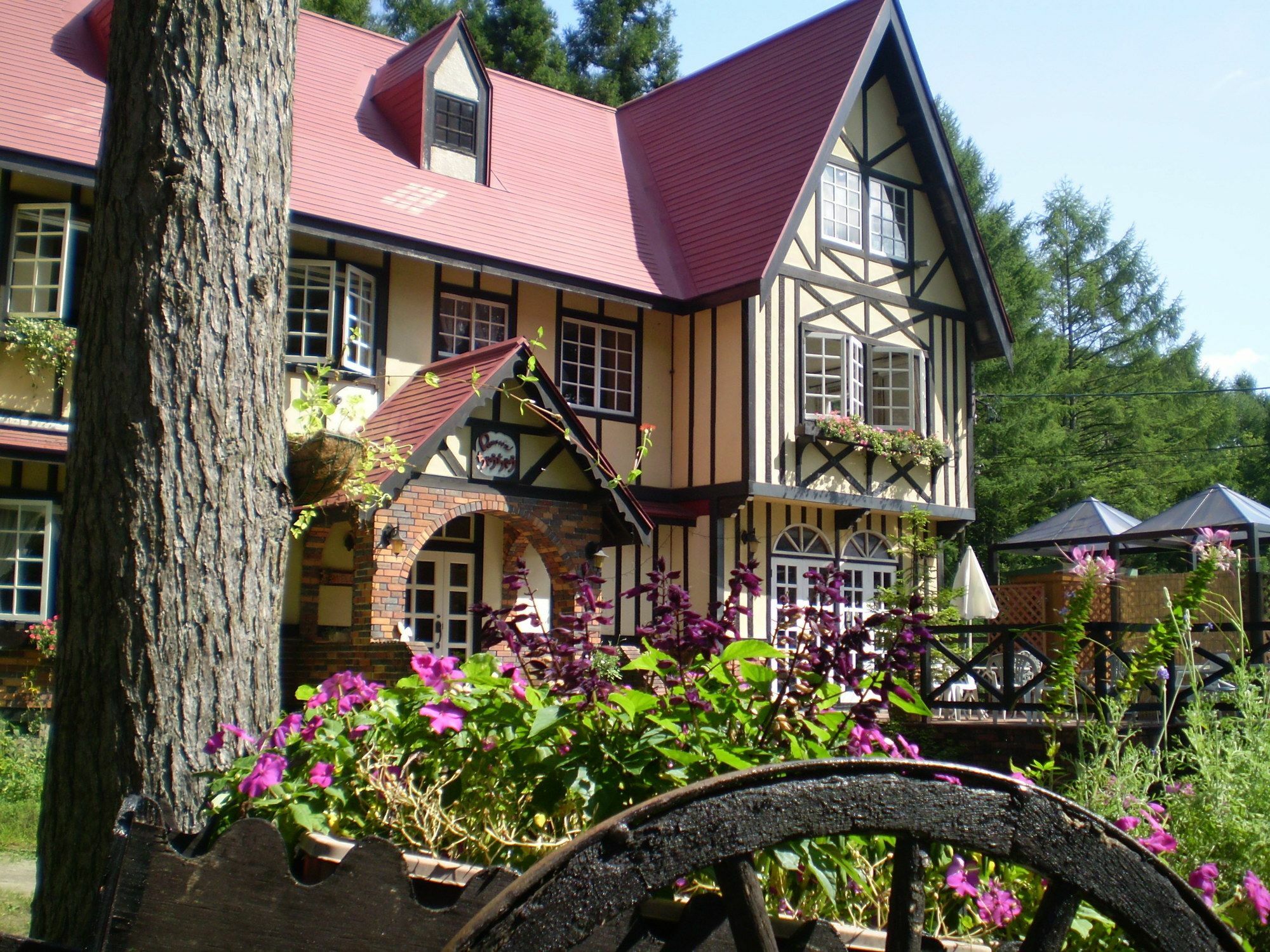ペンション ちゃうちゃう Bed and Breakfast Hakuba Buitenkant foto